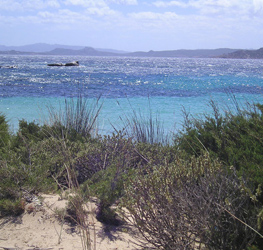 Vacanze in Sardegna